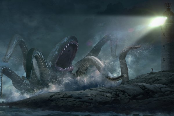 Kraken whitenet sliv php