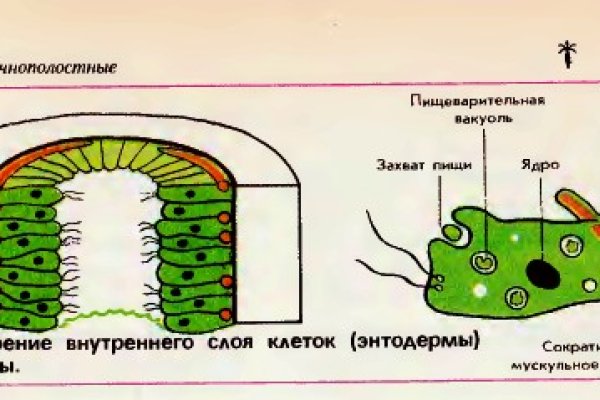 Кракен маркетплейс что продают