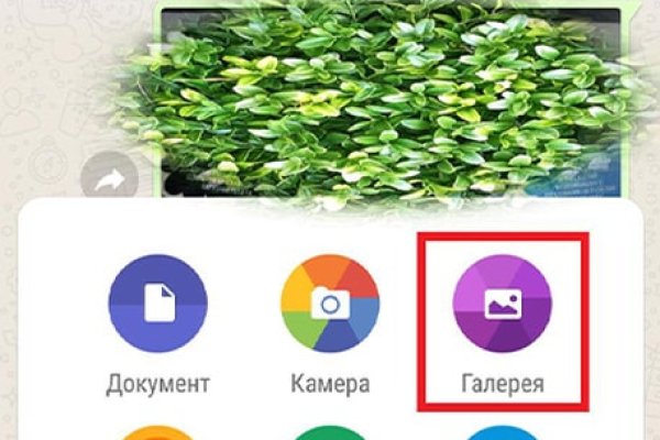 Кракен сайт магазин kraken clear com