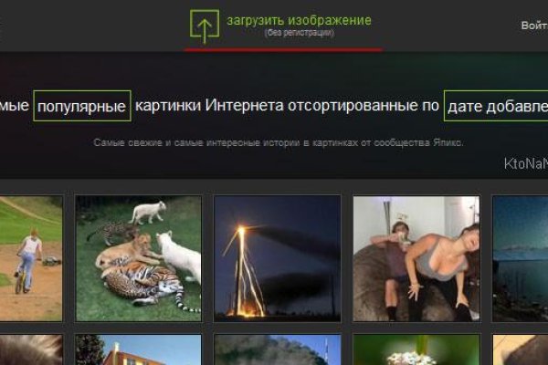 Ссылка на kraken at