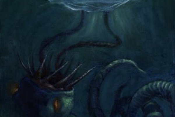 Kraken whitenet market зеркало