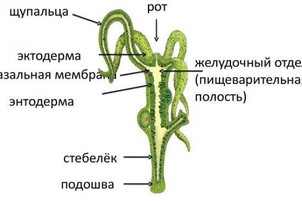Kraken ссылки актуальные 2025 г