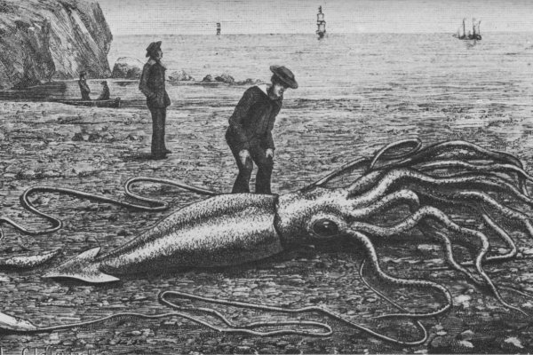 Kraken21 at сайт