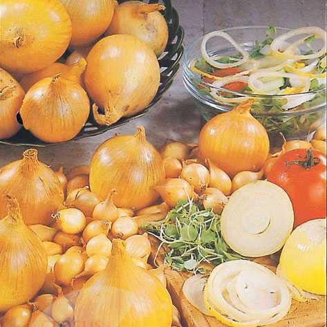 Кракен супернет krawebes