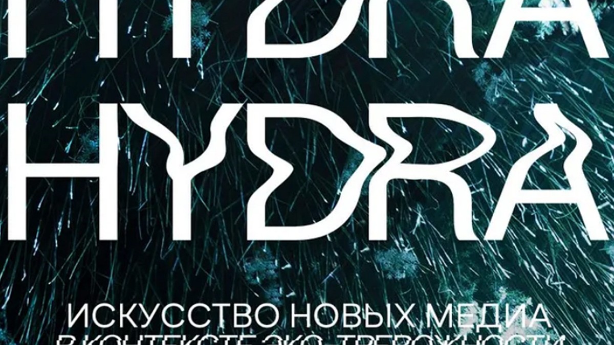 Доступ к kraken через vpn