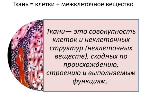 Кракен дарк оригинал ссылка