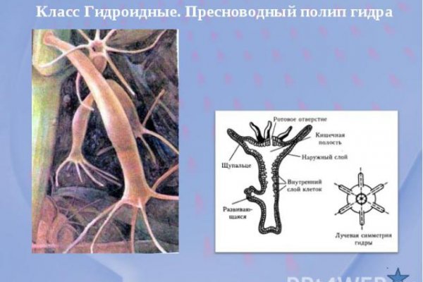 Не работает сайт kraken